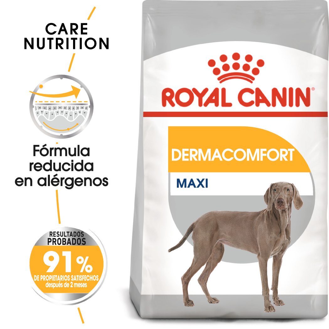 Miscota Royal Canin Maxi Dermacomfort per cani adulti di taglia grande con pelle sensibile