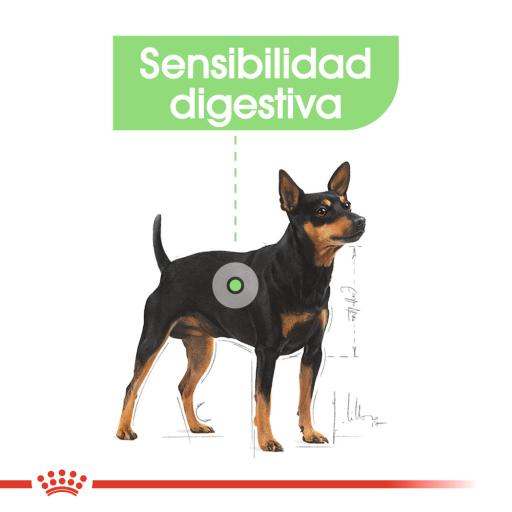 Royal Canin Mini Digestive Digestive Sensitive Adult Small Dog Food Miscota Malaysia