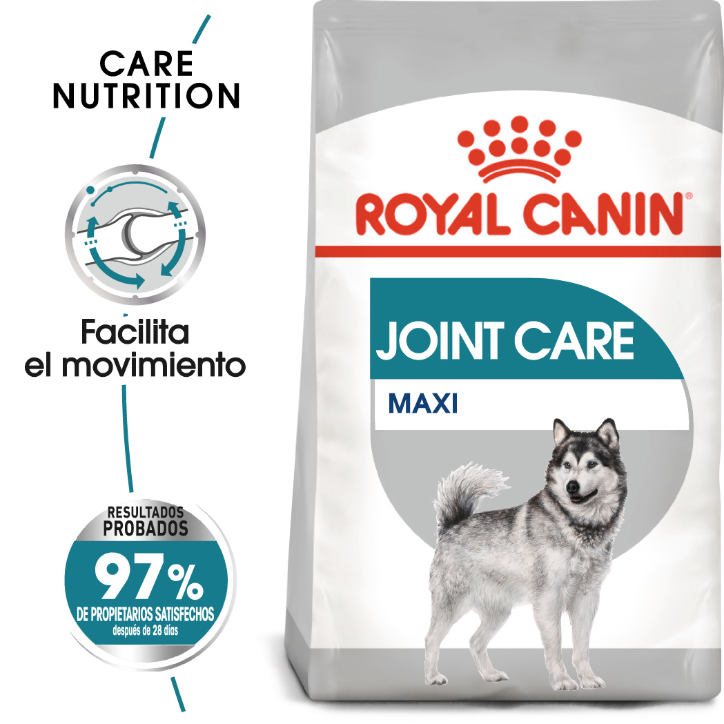 Miscota Royal Canin Maxi Joint Care Large Adult Food con sensibilità alle articolazioni