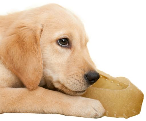 Apetitus Lederpantoffel 12 cm