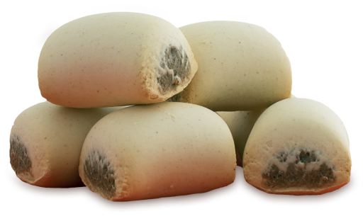 Apetitus Biscuit Rolls 500 GR