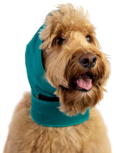 No Flap Protector Covers Dog Ears