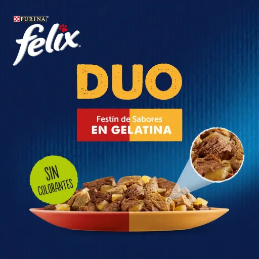 Purina Felix Multipack Sortiment Fantastic Duo Ein Fest der Aromen in Gelee