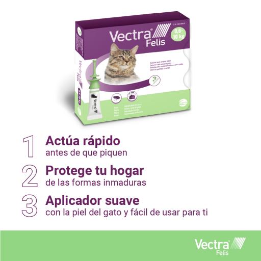Vectra Felis chat : pipettes anti puces / antiparasitaire - Wanimo