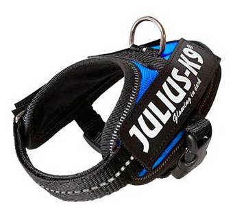 Miscota Julius K9 IDC Harness Blu