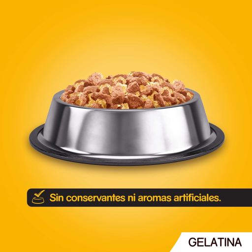 Pedigree Wet Food for Dogs Multipack in Chicken and Lamb Flavor Jelly Miscota United States of America