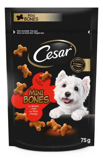 mini bones