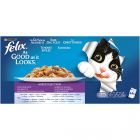 Fantastic Selecci&oacute;n de Sabores en Gelatina pack 44x100g