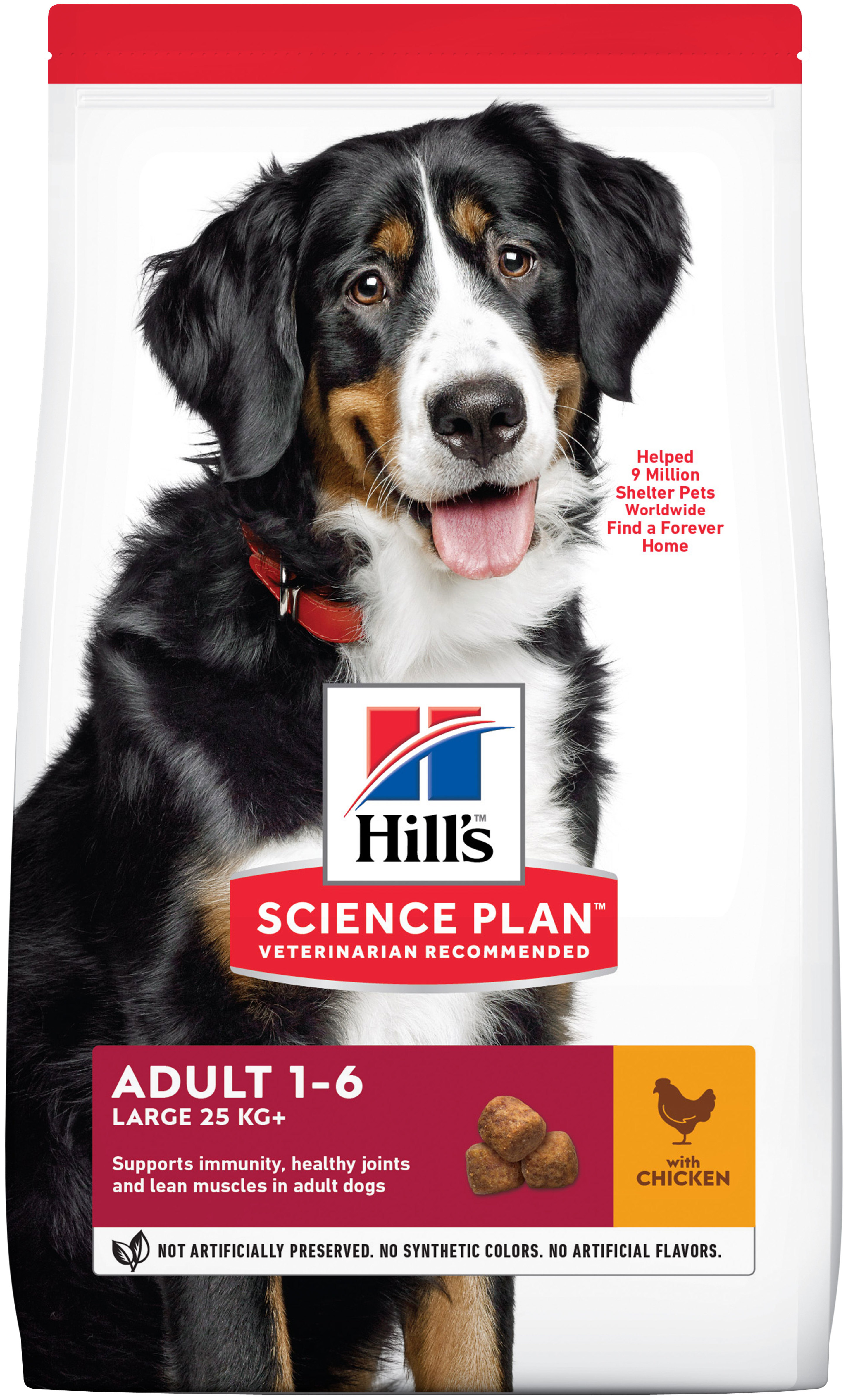 Miscota Hill's Science Plan Adult Large con Pollo