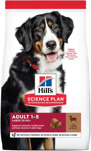 Hill's Science Plan Adult Large Cordero y Arroz