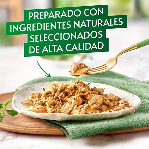 Gourmet Nature's Creations Mini Filetes rico en buey