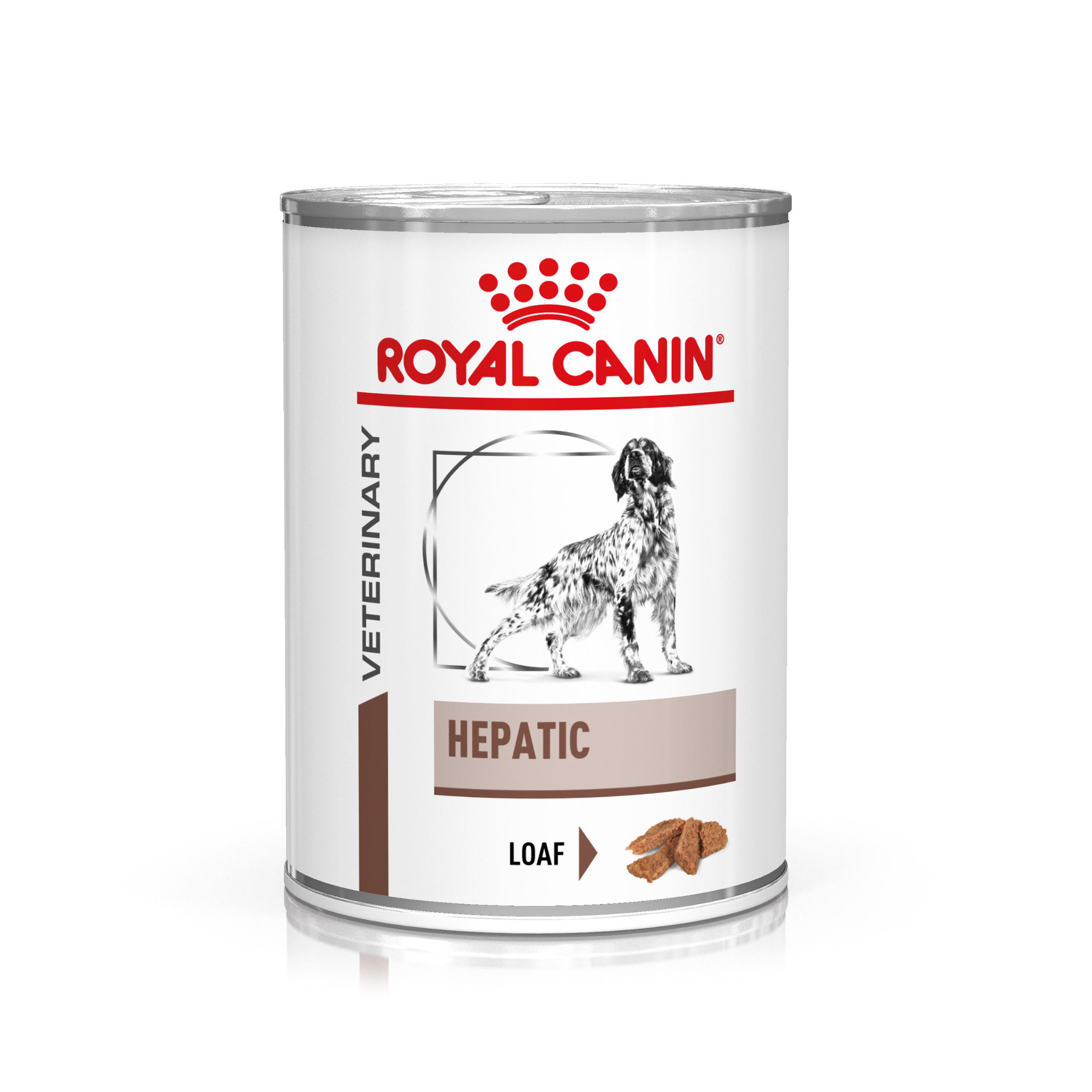 Miscota Royal Canin Cibo Umido per Cani Hepatic Lattina