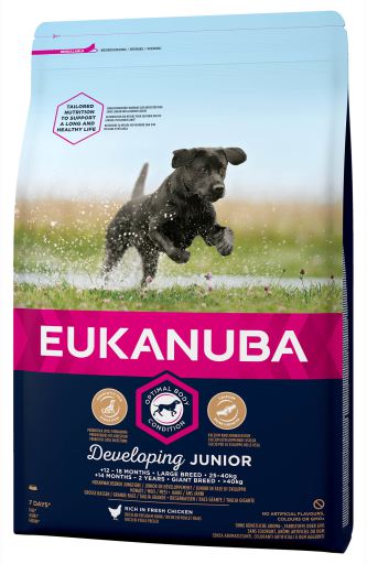 Eukanuba Junior Razas Grandes