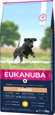 Eukanuba developing junior large breed hotsell