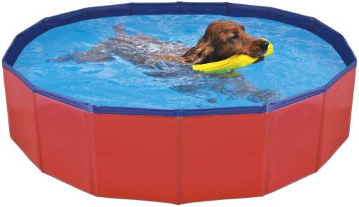 Pool for Dogs