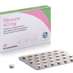 Miscota Karizoo Silycure 40Mg