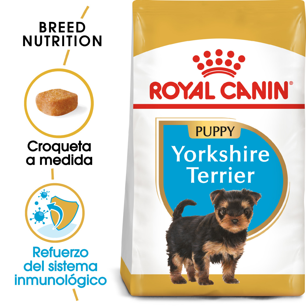 Miscota Royal Canin Cibo Secco per Cani eorkshire Terrier Junior