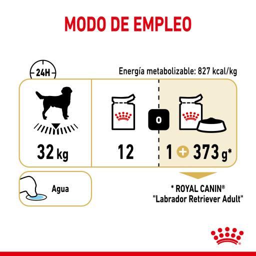 Labrador retriever royal canin best sale