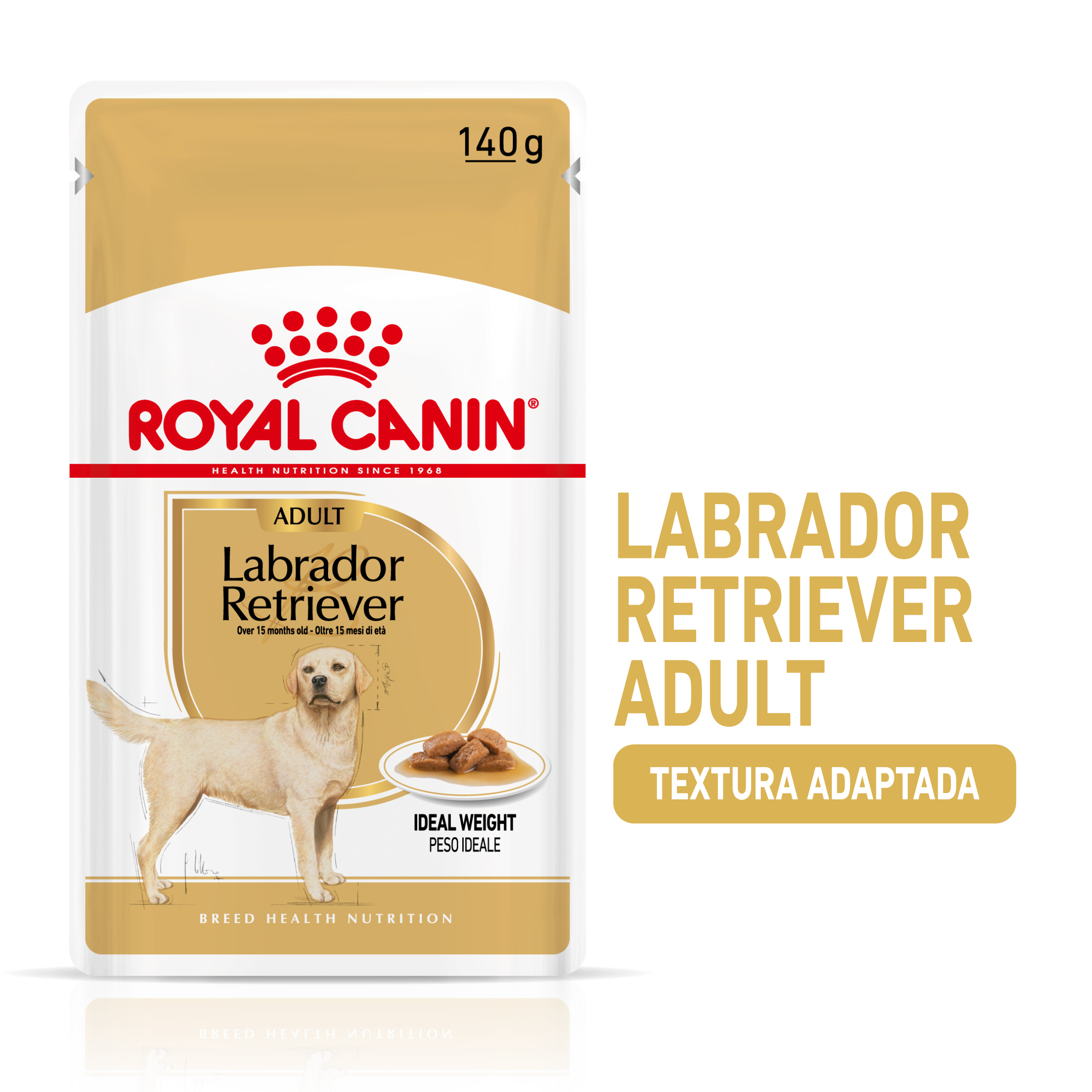 Miscota Royal Canin Labrador Adult