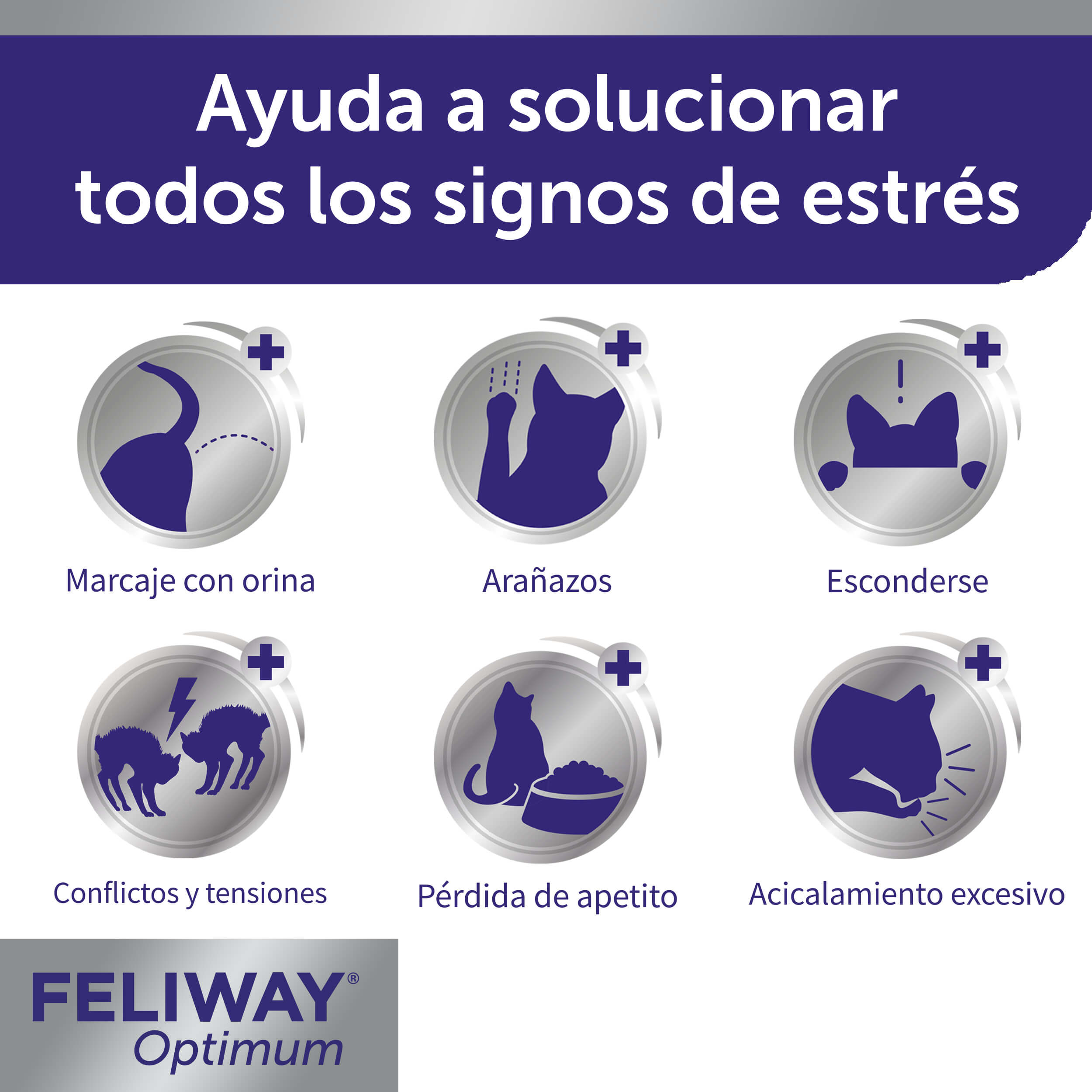 Photo inspiration: Gallery Detail: Feliway Feliway Optimum Anti Stress For Cats Diffuser Refill