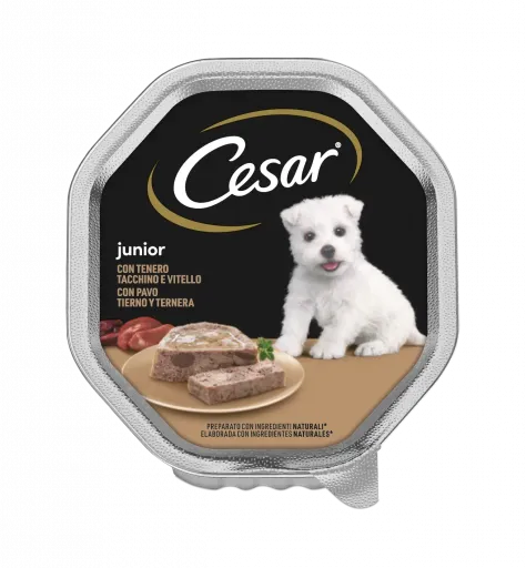 Cesar Nourriture humide pour chiots &agrave; saveur de dinde et de buf 
