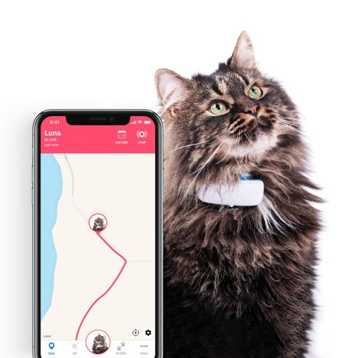 gps tracking cat collar