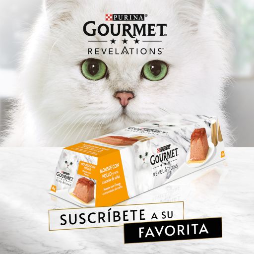 gourmet revelations purina