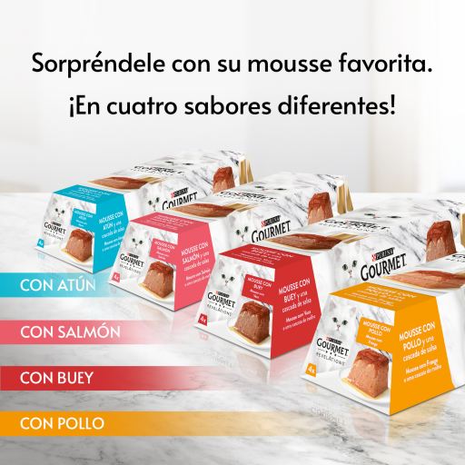 gourmet revelations purina