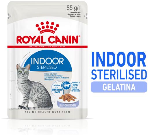 Comida Húmeda Indoor Gelatina para Gato