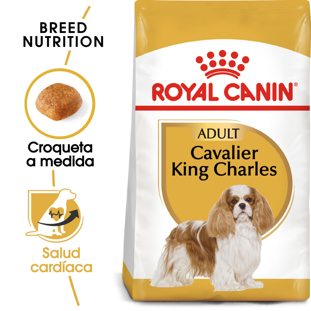 Miscota Royal Canin Cavalier King Charles Adult