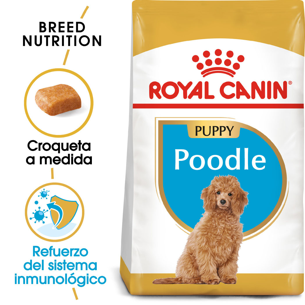 Miscota Royal Canin Poodle Puppy