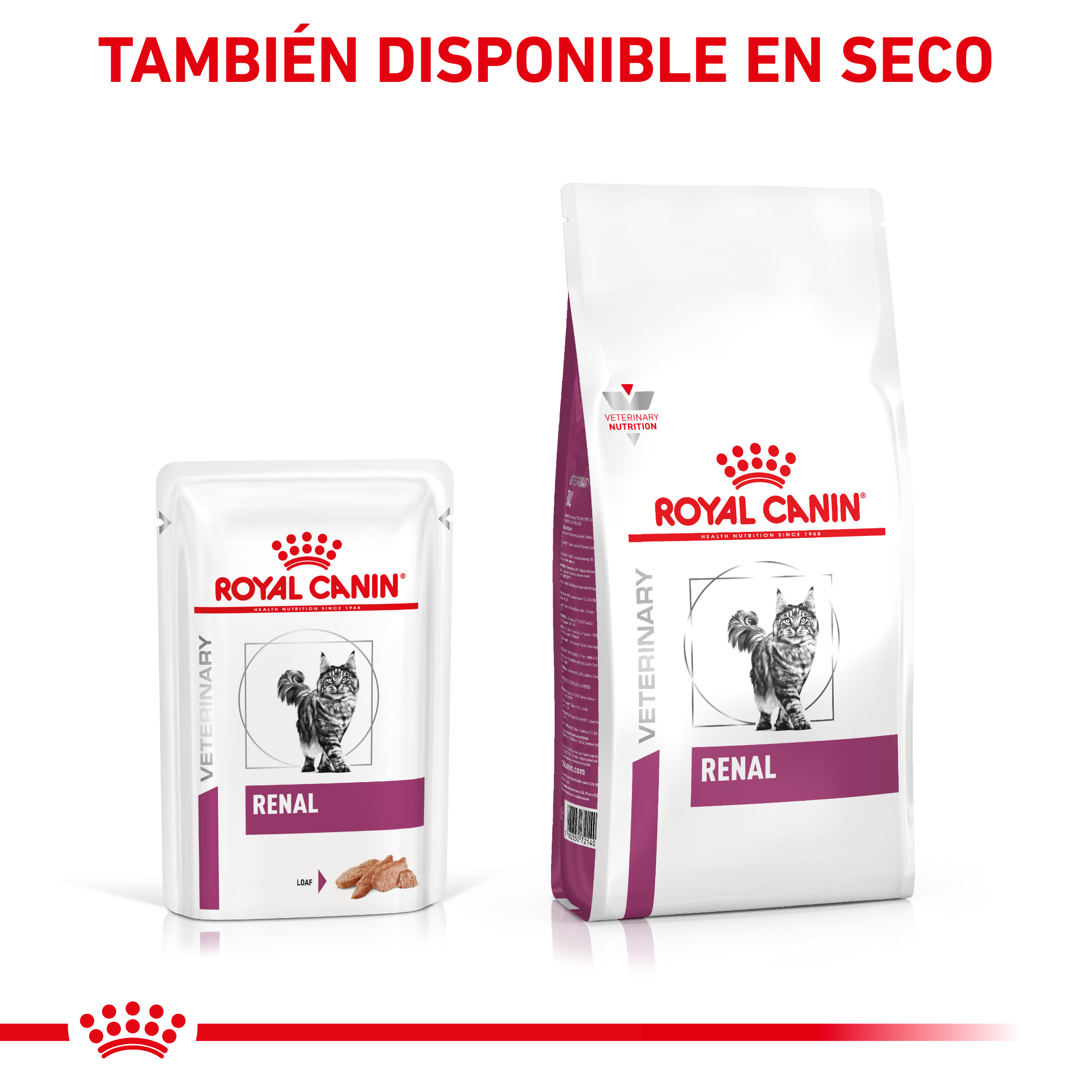 Royal Canin Comida Húmeda Paté Renal para Gatos - Miscota España