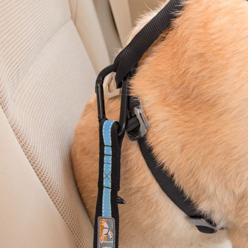 Kurgo Sicherheitsgurt-Adapter (Hunde , Transport und Reisen , Reise-und  KFZ-Zubehör)