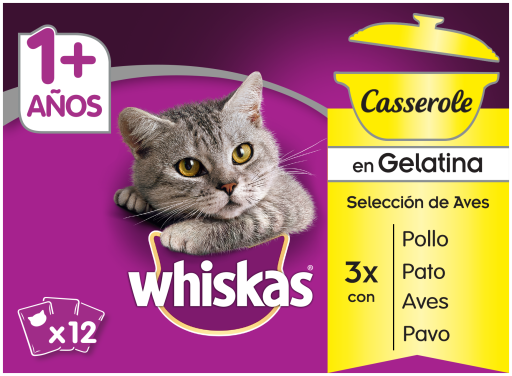 Whiskas casserole hotsell 40 pack