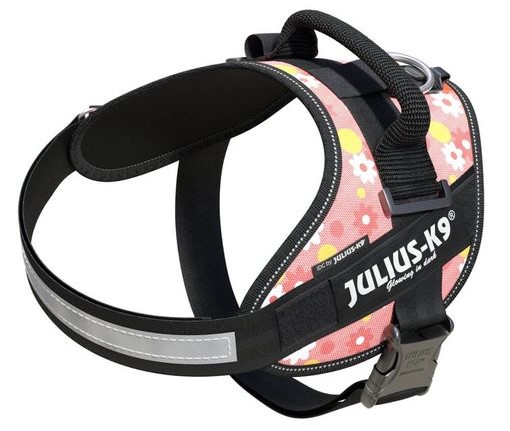 Miscota Julius K9 IDC sfruttare l'energia Flores Rosa