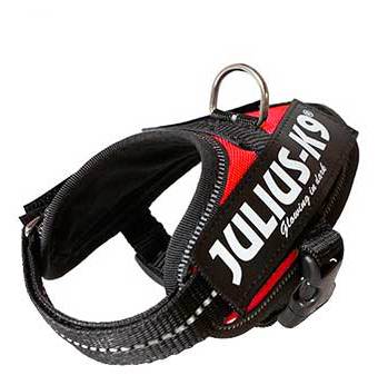 Miscota Julius K9 IDC Harness Red