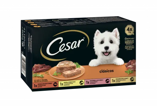 Cesar Nassfutter f&uuml;r Hunde Multipack Auswahl von Klassikern in Pastete