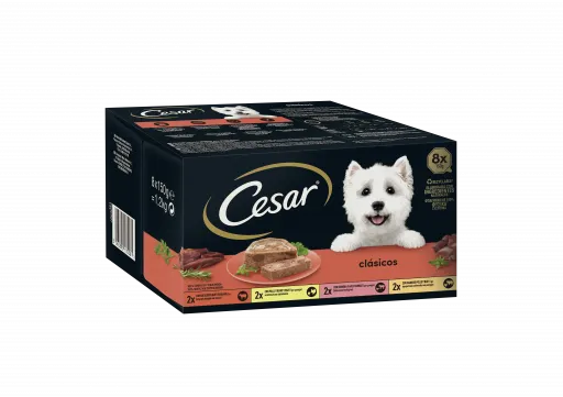 Cesar Nassfutter f&uuml;r Hunde Multipack Auswahl von Klassikern in Pastete