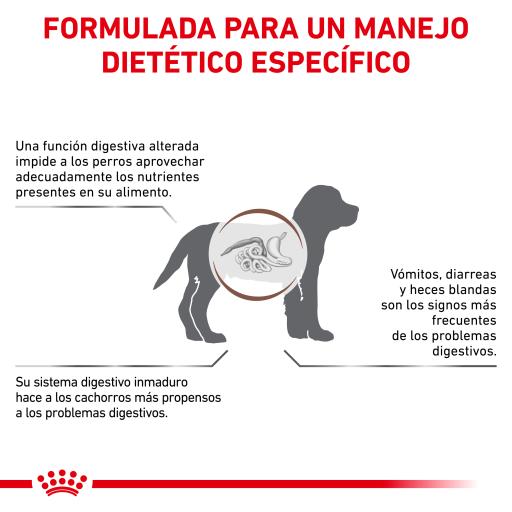 Royal canin hotsell gastro intestinal junior