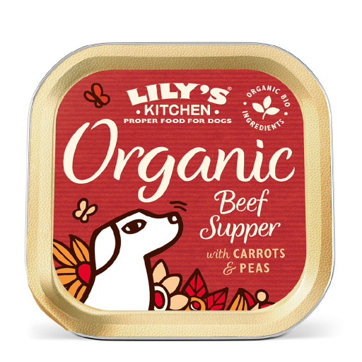 lily's kitchen food for dogs