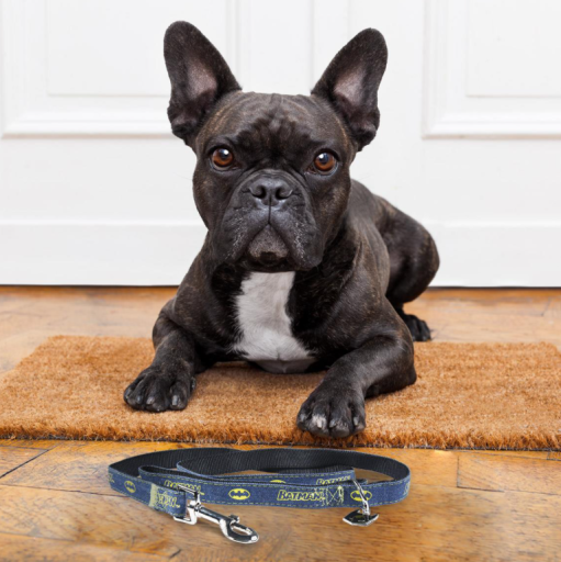 Batman dog collar and cheap leash