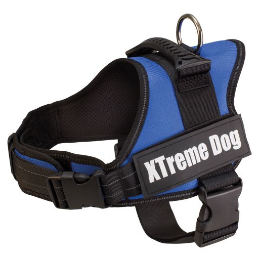 Arnés Xtreme Dog Azul