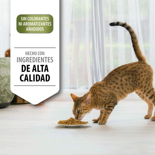 optirenal cat food