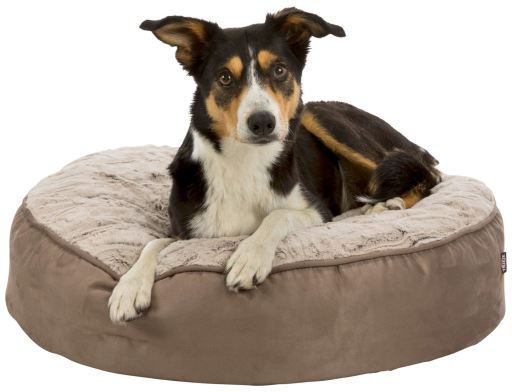 kimlor dog bed