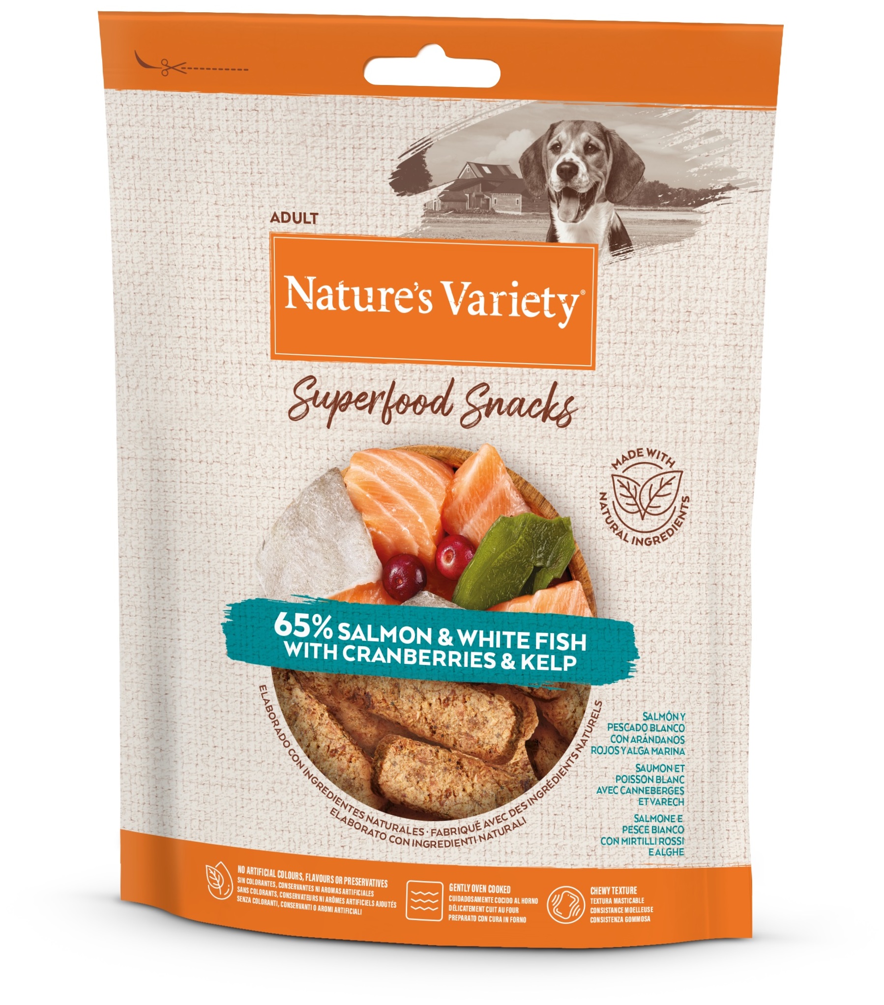 Miscota Nature's Variety Snacks Superfoods Salmone