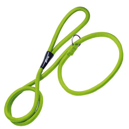 Green Training Lead and Collar