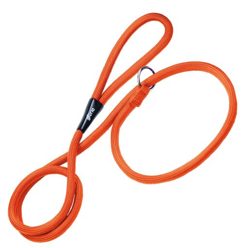 Orangefarbenes Trainingshalsband und Leine
