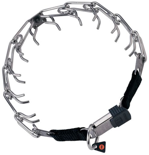 Training Collar with Spikes and Lock Collar