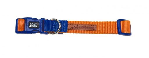 Collare e guinzaglio di nylon X-Trm Double Premium blu e arancione