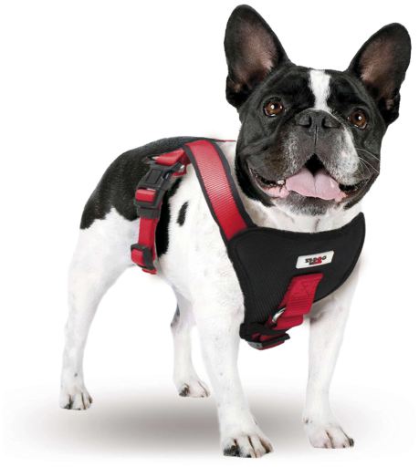 xtreme dog harness